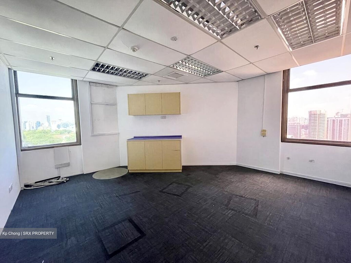 Raffles City Tower (D6), Office #516190781